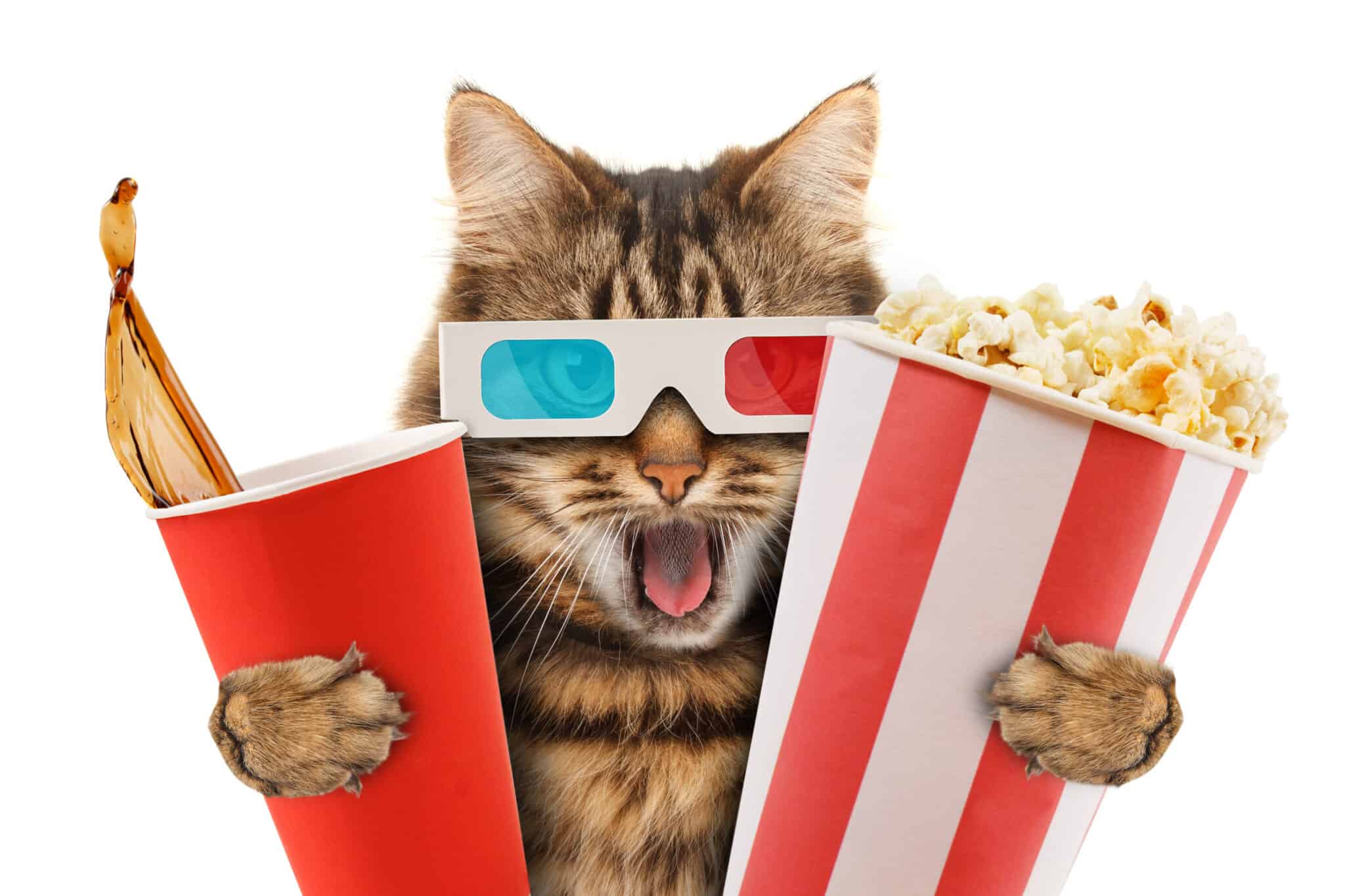 Live stream logo or thumbnail